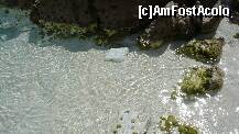 [P13] Marble Beach » foto by danoradea
 - 
<span class="allrVoted glyphicon glyphicon-heart hidden" id="av213308"></span>
<a class="m-l-10 hidden" id="sv213308" onclick="voting_Foto_DelVot(,213308,24033)" role="button">șterge vot <span class="glyphicon glyphicon-remove"></span></a>
<a id="v9213308" class=" c-red"  onclick="voting_Foto_SetVot(213308)" role="button"><span class="glyphicon glyphicon-heart-empty"></span> <b>LIKE</b> = Votează poza</a> <img class="hidden"  id="f213308W9" src="/imagini/loader.gif" border="0" /><span class="AjErrMes hidden" id="e213308ErM"></span>