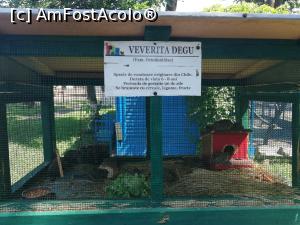 [P18] Parc Zoologic Radauti » foto by ⭐ValentinB_88⭐
 - 
<span class="allrVoted glyphicon glyphicon-heart hidden" id="av1234736"></span>
<a class="m-l-10 hidden" id="sv1234736" onclick="voting_Foto_DelVot(,1234736,24054)" role="button">șterge vot <span class="glyphicon glyphicon-remove"></span></a>
<a id="v91234736" class=" c-red"  onclick="voting_Foto_SetVot(1234736)" role="button"><span class="glyphicon glyphicon-heart-empty"></span> <b>LIKE</b> = Votează poza</a> <img class="hidden"  id="f1234736W9" src="/imagini/loader.gif" border="0" /><span class="AjErrMes hidden" id="e1234736ErM"></span>