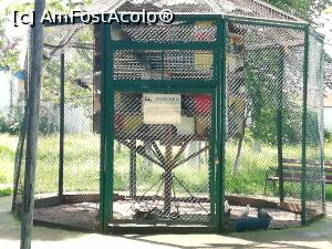 [P20] Parc Zoologic Radauti » foto by ⭐ValentinB_88⭐
 - 
<span class="allrVoted glyphicon glyphicon-heart hidden" id="av1234738"></span>
<a class="m-l-10 hidden" id="sv1234738" onclick="voting_Foto_DelVot(,1234738,24054)" role="button">șterge vot <span class="glyphicon glyphicon-remove"></span></a>
<a id="v91234738" class=" c-red"  onclick="voting_Foto_SetVot(1234738)" role="button"><span class="glyphicon glyphicon-heart-empty"></span> <b>LIKE</b> = Votează poza</a> <img class="hidden"  id="f1234738W9" src="/imagini/loader.gif" border="0" /><span class="AjErrMes hidden" id="e1234738ErM"></span>