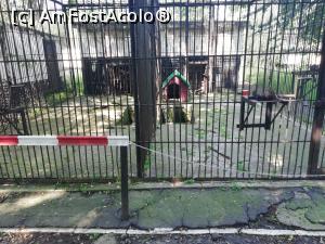 [P23] Parc Zoologic Radauti » foto by ⭐ValentinB_88⭐
 - 
<span class="allrVoted glyphicon glyphicon-heart hidden" id="av1234741"></span>
<a class="m-l-10 hidden" id="sv1234741" onclick="voting_Foto_DelVot(,1234741,24054)" role="button">șterge vot <span class="glyphicon glyphicon-remove"></span></a>
<a id="v91234741" class=" c-red"  onclick="voting_Foto_SetVot(1234741)" role="button"><span class="glyphicon glyphicon-heart-empty"></span> <b>LIKE</b> = Votează poza</a> <img class="hidden"  id="f1234741W9" src="/imagini/loader.gif" border="0" /><span class="AjErrMes hidden" id="e1234741ErM"></span>