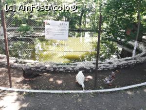 [P24] Parc Zoologic Radauti » foto by ⭐ValentinB_88⭐
 - 
<span class="allrVoted glyphicon glyphicon-heart hidden" id="av1234742"></span>
<a class="m-l-10 hidden" id="sv1234742" onclick="voting_Foto_DelVot(,1234742,24054)" role="button">șterge vot <span class="glyphicon glyphicon-remove"></span></a>
<a id="v91234742" class=" c-red"  onclick="voting_Foto_SetVot(1234742)" role="button"><span class="glyphicon glyphicon-heart-empty"></span> <b>LIKE</b> = Votează poza</a> <img class="hidden"  id="f1234742W9" src="/imagini/loader.gif" border="0" /><span class="AjErrMes hidden" id="e1234742ErM"></span>