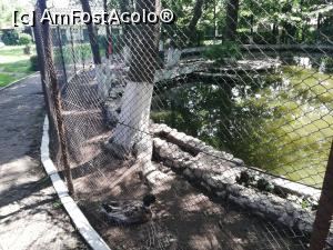 [P25] Parc Zoologic Radauti » foto by ⭐ValentinB_88⭐
 - 
<span class="allrVoted glyphicon glyphicon-heart hidden" id="av1234743"></span>
<a class="m-l-10 hidden" id="sv1234743" onclick="voting_Foto_DelVot(,1234743,24054)" role="button">șterge vot <span class="glyphicon glyphicon-remove"></span></a>
<a id="v91234743" class=" c-red"  onclick="voting_Foto_SetVot(1234743)" role="button"><span class="glyphicon glyphicon-heart-empty"></span> <b>LIKE</b> = Votează poza</a> <img class="hidden"  id="f1234743W9" src="/imagini/loader.gif" border="0" /><span class="AjErrMes hidden" id="e1234743ErM"></span>