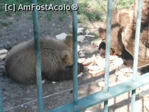 [P04] Parc Zoologic Radauti » foto by ⭐ValentinB_88⭐
 - 
<span class="allrVoted glyphicon glyphicon-heart hidden" id="av1234722"></span>
<a class="m-l-10 hidden" id="sv1234722" onclick="voting_Foto_DelVot(,1234722,24054)" role="button">șterge vot <span class="glyphicon glyphicon-remove"></span></a>
<a id="v91234722" class=" c-red"  onclick="voting_Foto_SetVot(1234722)" role="button"><span class="glyphicon glyphicon-heart-empty"></span> <b>LIKE</b> = Votează poza</a> <img class="hidden"  id="f1234722W9" src="/imagini/loader.gif" border="0" /><span class="AjErrMes hidden" id="e1234722ErM"></span>