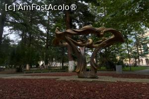 [P51] Parcul Central » foto by Mika
 - 
<span class="allrVoted glyphicon glyphicon-heart hidden" id="av1402335"></span>
<a class="m-l-10 hidden" id="sv1402335" onclick="voting_Foto_DelVot(,1402335,24079)" role="button">șterge vot <span class="glyphicon glyphicon-remove"></span></a>
<a id="v91402335" class=" c-red"  onclick="voting_Foto_SetVot(1402335)" role="button"><span class="glyphicon glyphicon-heart-empty"></span> <b>LIKE</b> = Votează poza</a> <img class="hidden"  id="f1402335W9" src="/imagini/loader.gif" border="0" /><span class="AjErrMes hidden" id="e1402335ErM"></span>