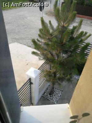 [P04] Intrarea in curtea pensiunii » foto by LaraCroft
 - 
<span class="allrVoted glyphicon glyphicon-heart hidden" id="av1084213"></span>
<a class="m-l-10 hidden" id="sv1084213" onclick="voting_Foto_DelVot(,1084213,24090)" role="button">șterge vot <span class="glyphicon glyphicon-remove"></span></a>
<a id="v91084213" class=" c-red"  onclick="voting_Foto_SetVot(1084213)" role="button"><span class="glyphicon glyphicon-heart-empty"></span> <b>LIKE</b> = Votează poza</a> <img class="hidden"  id="f1084213W9" src="/imagini/loader.gif" border="0" /><span class="AjErrMes hidden" id="e1084213ErM"></span>