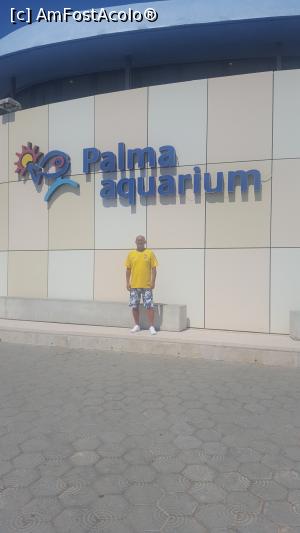 [P24] La Palma aquarium » foto by goguta99
 - 
<span class="allrVoted glyphicon glyphicon-heart hidden" id="av993356"></span>
<a class="m-l-10 hidden" id="sv993356" onclick="voting_Foto_DelVot(,993356,24095)" role="button">șterge vot <span class="glyphicon glyphicon-remove"></span></a>
<a id="v9993356" class=" c-red"  onclick="voting_Foto_SetVot(993356)" role="button"><span class="glyphicon glyphicon-heart-empty"></span> <b>LIKE</b> = Votează poza</a> <img class="hidden"  id="f993356W9" src="/imagini/loader.gif" border="0" /><span class="AjErrMes hidden" id="e993356ErM"></span>