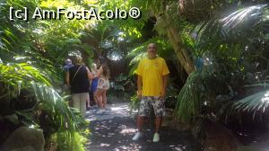 [P26] 'Jungla' din Palma aquarium » foto by goguta99
 - 
<span class="allrVoted glyphicon glyphicon-heart hidden" id="av993359"></span>
<a class="m-l-10 hidden" id="sv993359" onclick="voting_Foto_DelVot(,993359,24095)" role="button">șterge vot <span class="glyphicon glyphicon-remove"></span></a>
<a id="v9993359" class=" c-red"  onclick="voting_Foto_SetVot(993359)" role="button"><span class="glyphicon glyphicon-heart-empty"></span> <b>LIKE</b> = Votează poza</a> <img class="hidden"  id="f993359W9" src="/imagini/loader.gif" border="0" /><span class="AjErrMes hidden" id="e993359ErM"></span>