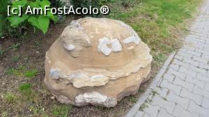 [P19] Hopaa! Un trovant la marginea unei alei.  » foto by Floryn81
 - 
<span class="allrVoted glyphicon glyphicon-heart hidden" id="av993612"></span>
<a class="m-l-10 hidden" id="sv993612" onclick="voting_Foto_DelVot(,993612,24100)" role="button">șterge vot <span class="glyphicon glyphicon-remove"></span></a>
<a id="v9993612" class=" c-red"  onclick="voting_Foto_SetVot(993612)" role="button"><span class="glyphicon glyphicon-heart-empty"></span> <b>LIKE</b> = Votează poza</a> <img class="hidden"  id="f993612W9" src="/imagini/loader.gif" border="0" /><span class="AjErrMes hidden" id="e993612ErM"></span>