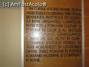 [P01]  -- <small>// FĂRĂ DESCRIERE</small> » foto by elviramvio
 - 
<span class="allrVoted glyphicon glyphicon-heart hidden" id="av727163"></span>
<a class="m-l-10 hidden" id="sv727163" onclick="voting_Foto_DelVot(,727163,24135)" role="button">șterge vot <span class="glyphicon glyphicon-remove"></span></a>
<a id="v9727163" class=" c-red"  onclick="voting_Foto_SetVot(727163)" role="button"><span class="glyphicon glyphicon-heart-empty"></span> <b>LIKE</b> = Votează poza</a> <img class="hidden"  id="f727163W9" src="/imagini/loader.gif" border="0" /><span class="AjErrMes hidden" id="e727163ErM"></span>