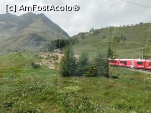 [P21] Plimbare cu Bernina Express » foto by Marius 72
 - 
<span class="allrVoted glyphicon glyphicon-heart hidden" id="av1374288"></span>
<a class="m-l-10 hidden" id="sv1374288" onclick="voting_Foto_DelVot(,1374288,24136)" role="button">șterge vot <span class="glyphicon glyphicon-remove"></span></a>
<a id="v91374288" class=" c-red"  onclick="voting_Foto_SetVot(1374288)" role="button"><span class="glyphicon glyphicon-heart-empty"></span> <b>LIKE</b> = Votează poza</a> <img class="hidden"  id="f1374288W9" src="/imagini/loader.gif" border="0" /><span class="AjErrMes hidden" id="e1374288ErM"></span>