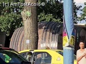 [P02] 'La Butoaie' este reperul nostru in Mamaia si statia de un de ne-am urcat in autobuzul etajat » foto by Dan&Ema
 - 
<span class="allrVoted glyphicon glyphicon-heart hidden" id="av1001056"></span>
<a class="m-l-10 hidden" id="sv1001056" onclick="voting_Foto_DelVot(,1001056,24170)" role="button">șterge vot <span class="glyphicon glyphicon-remove"></span></a>
<a id="v91001056" class=" c-red"  onclick="voting_Foto_SetVot(1001056)" role="button"><span class="glyphicon glyphicon-heart-empty"></span> <b>LIKE</b> = Votează poza</a> <img class="hidden"  id="f1001056W9" src="/imagini/loader.gif" border="0" /><span class="AjErrMes hidden" id="e1001056ErM"></span>