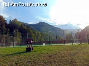 [P04] Terenul de fotbal » foto by cristisch2003
 - 
<span class="allrVoted glyphicon glyphicon-heart hidden" id="av1002189"></span>
<a class="m-l-10 hidden" id="sv1002189" onclick="voting_Foto_DelVot(,1002189,24195)" role="button">șterge vot <span class="glyphicon glyphicon-remove"></span></a>
<a id="v91002189" class=" c-red"  onclick="voting_Foto_SetVot(1002189)" role="button"><span class="glyphicon glyphicon-heart-empty"></span> <b>LIKE</b> = Votează poza</a> <img class="hidden"  id="f1002189W9" src="/imagini/loader.gif" border="0" /><span class="AjErrMes hidden" id="e1002189ErM"></span>