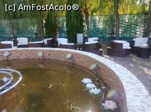 [P30] Magic pool Trivale, Pitești » foto by Mioritik
 - 
<span class="allrVoted glyphicon glyphicon-heart hidden" id="av1314109"></span>
<a class="m-l-10 hidden" id="sv1314109" onclick="voting_Foto_DelVot(,1314109,24200)" role="button">șterge vot <span class="glyphicon glyphicon-remove"></span></a>
<a id="v91314109" class=" c-red"  onclick="voting_Foto_SetVot(1314109)" role="button"><span class="glyphicon glyphicon-heart-empty"></span> <b>LIKE</b> = Votează poza</a> <img class="hidden"  id="f1314109W9" src="/imagini/loader.gif" border="0" /><span class="AjErrMes hidden" id="e1314109ErM"></span>