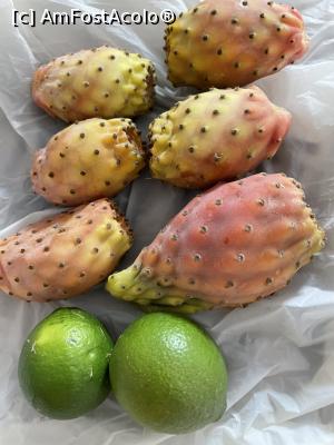 [P11] Fructele mele, foarte gustoase » foto by krisstinna
 - 
<span class="allrVoted glyphicon glyphicon-heart hidden" id="av1342205"></span>
<a class="m-l-10 hidden" id="sv1342205" onclick="voting_Foto_DelVot(,1342205,24205)" role="button">șterge vot <span class="glyphicon glyphicon-remove"></span></a>
<a id="v91342205" class=" c-red"  onclick="voting_Foto_SetVot(1342205)" role="button"><span class="glyphicon glyphicon-heart-empty"></span> <b>LIKE</b> = Votează poza</a> <img class="hidden"  id="f1342205W9" src="/imagini/loader.gif" border="0" /><span class="AjErrMes hidden" id="e1342205ErM"></span>