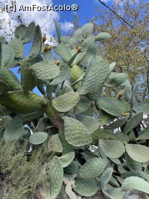 [P05] Eski Datca, orașul vechi, locul din care am cules fructe de cactus, mandarine si lămâi » foto by krisstinna
 - 
<span class="allrVoted glyphicon glyphicon-heart hidden" id="av1342199"></span>
<a class="m-l-10 hidden" id="sv1342199" onclick="voting_Foto_DelVot(,1342199,24205)" role="button">șterge vot <span class="glyphicon glyphicon-remove"></span></a>
<a id="v91342199" class=" c-red"  onclick="voting_Foto_SetVot(1342199)" role="button"><span class="glyphicon glyphicon-heart-empty"></span> <b>LIKE</b> = Votează poza</a> <img class="hidden"  id="f1342199W9" src="/imagini/loader.gif" border="0" /><span class="AjErrMes hidden" id="e1342199ErM"></span>