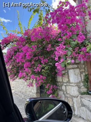 [P08] Explozie de culoare, Eski Datca, orașul vechi » foto by krisstinna
 - 
<span class="allrVoted glyphicon glyphicon-heart hidden" id="av1342202"></span>
<a class="m-l-10 hidden" id="sv1342202" onclick="voting_Foto_DelVot(,1342202,24205)" role="button">șterge vot <span class="glyphicon glyphicon-remove"></span></a>
<a id="v91342202" class=" c-red"  onclick="voting_Foto_SetVot(1342202)" role="button"><span class="glyphicon glyphicon-heart-empty"></span> <b>LIKE</b> = Votează poza</a> <img class="hidden"  id="f1342202W9" src="/imagini/loader.gif" border="0" /><span class="AjErrMes hidden" id="e1342202ErM"></span>