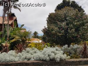 [P06] Quinta do Furão - grădina » foto by nicole33
 - 
<span class="allrVoted glyphicon glyphicon-heart hidden" id="av1414984"></span>
<a class="m-l-10 hidden" id="sv1414984" onclick="voting_Foto_DelVot(,1414984,24227)" role="button">șterge vot <span class="glyphicon glyphicon-remove"></span></a>
<a id="v91414984" class=" c-red"  onclick="voting_Foto_SetVot(1414984)" role="button"><span class="glyphicon glyphicon-heart-empty"></span> <b>LIKE</b> = Votează poza</a> <img class="hidden"  id="f1414984W9" src="/imagini/loader.gif" border="0" /><span class="AjErrMes hidden" id="e1414984ErM"></span>