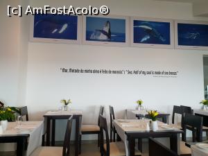 [P04] Sea View restaurant » foto by robert
 - 
<span class="allrVoted glyphicon glyphicon-heart hidden" id="av1003616"></span>
<a class="m-l-10 hidden" id="sv1003616" onclick="voting_Foto_DelVot(,1003616,24227)" role="button">șterge vot <span class="glyphicon glyphicon-remove"></span></a>
<a id="v91003616" class=" c-red"  onclick="voting_Foto_SetVot(1003616)" role="button"><span class="glyphicon glyphicon-heart-empty"></span> <b>LIKE</b> = Votează poza</a> <img class="hidden"  id="f1003616W9" src="/imagini/loader.gif" border="0" /><span class="AjErrMes hidden" id="e1003616ErM"></span>