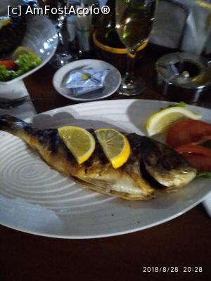[P09] un peste delicios (Tipura) Restaurantul ' Satra ' (al hotelului) foarte bun » foto by viorelgeorgescu
 - 
<span class="allrVoted glyphicon glyphicon-heart hidden" id="av1004766"></span>
<a class="m-l-10 hidden" id="sv1004766" onclick="voting_Foto_DelVot(,1004766,24248)" role="button">șterge vot <span class="glyphicon glyphicon-remove"></span></a>
<a id="v91004766" class=" c-red"  onclick="voting_Foto_SetVot(1004766)" role="button"><span class="glyphicon glyphicon-heart-empty"></span> <b>LIKE</b> = Votează poza</a> <img class="hidden"  id="f1004766W9" src="/imagini/loader.gif" border="0" /><span class="AjErrMes hidden" id="e1004766ErM"></span>