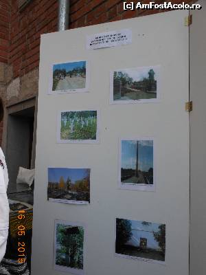 [P26] Bucureşti - Castelul Ţepeş. Morminte şi opere comemorative de război româneşti din străinătate.  » foto by iulianic
 - 
<span class="allrVoted glyphicon glyphicon-heart hidden" id="av617840"></span>
<a class="m-l-10 hidden" id="sv617840" onclick="voting_Foto_DelVot(,617840,24257)" role="button">șterge vot <span class="glyphicon glyphicon-remove"></span></a>
<a id="v9617840" class=" c-red"  onclick="voting_Foto_SetVot(617840)" role="button"><span class="glyphicon glyphicon-heart-empty"></span> <b>LIKE</b> = Votează poza</a> <img class="hidden"  id="f617840W9" src="/imagini/loader.gif" border="0" /><span class="AjErrMes hidden" id="e617840ErM"></span>