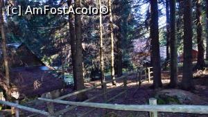 [P05] Imagine tipică stațiunii, cu căsuțe și cabane risipite prin pădure.  » foto by Lucien
 - 
<span class="allrVoted glyphicon glyphicon-heart hidden" id="av811797"></span>
<a class="m-l-10 hidden" id="sv811797" onclick="voting_Foto_DelVot(,811797,24266)" role="button">șterge vot <span class="glyphicon glyphicon-remove"></span></a>
<a id="v9811797" class=" c-red"  onclick="voting_Foto_SetVot(811797)" role="button"><span class="glyphicon glyphicon-heart-empty"></span> <b>LIKE</b> = Votează poza</a> <img class="hidden"  id="f811797W9" src="/imagini/loader.gif" border="0" /><span class="AjErrMes hidden" id="e811797ErM"></span>