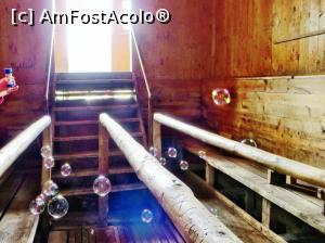 [P09] Mofeta III. Experiment cu baloanele de săpun care se aștern pe suprafața gazului mofetic și se îndreaptă cu pași mărunți spre ieșire.  » foto by Lucien
 - 
<span class="allrVoted glyphicon glyphicon-heart hidden" id="av811801"></span>
<a class="m-l-10 hidden" id="sv811801" onclick="voting_Foto_DelVot(,811801,24266)" role="button">șterge vot <span class="glyphicon glyphicon-remove"></span></a>
<a id="v9811801" class=" c-red"  onclick="voting_Foto_SetVot(811801)" role="button"><span class="glyphicon glyphicon-heart-empty"></span> <b>LIKE</b> = Votează poza</a> <img class="hidden"  id="f811801W9" src="/imagini/loader.gif" border="0" /><span class="AjErrMes hidden" id="e811801ErM"></span>