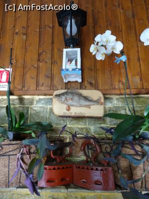 [P27] Decorațiuni în curte.  » foto by tata123 🔱
 - 
<span class="allrVoted glyphicon glyphicon-heart hidden" id="av1081664"></span>
<a class="m-l-10 hidden" id="sv1081664" onclick="voting_Foto_DelVot(,1081664,24272)" role="button">șterge vot <span class="glyphicon glyphicon-remove"></span></a>
<a id="v91081664" class=" c-red"  onclick="voting_Foto_SetVot(1081664)" role="button"><span class="glyphicon glyphicon-heart-empty"></span> <b>LIKE</b> = Votează poza</a> <img class="hidden"  id="f1081664W9" src="/imagini/loader.gif" border="0" /><span class="AjErrMes hidden" id="e1081664ErM"></span>
