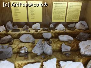 [P13] Muzeul de mineralogie 'Victor Gorduza' Baia Mare - exponate care reprezinta Rezervatia fosiliera Chiuzbaia » foto by mishu
 - 
<span class="allrVoted glyphicon glyphicon-heart hidden" id="av905763"></span>
<a class="m-l-10 hidden" id="sv905763" onclick="voting_Foto_DelVot(,905763,24281)" role="button">șterge vot <span class="glyphicon glyphicon-remove"></span></a>
<a id="v9905763" class=" c-red"  onclick="voting_Foto_SetVot(905763)" role="button"><span class="glyphicon glyphicon-heart-empty"></span> <b>LIKE</b> = Votează poza</a> <img class="hidden"  id="f905763W9" src="/imagini/loader.gif" border="0" /><span class="AjErrMes hidden" id="e905763ErM"></span>