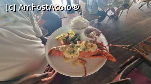 [P36] lobster, hey da cine a comandat lobster? » foto by robert
 - 
<span class="allrVoted glyphicon glyphicon-heart hidden" id="av1272315"></span>
<a class="m-l-10 hidden" id="sv1272315" onclick="voting_Foto_DelVot(,1272315,24324)" role="button">șterge vot <span class="glyphicon glyphicon-remove"></span></a>
<a id="v91272315" class=" c-red"  onclick="voting_Foto_SetVot(1272315)" role="button"><span class="glyphicon glyphicon-heart-empty"></span> <b>LIKE</b> = Votează poza</a> <img class="hidden"  id="f1272315W9" src="/imagini/loader.gif" border="0" /><span class="AjErrMes hidden" id="e1272315ErM"></span>