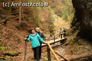 [P44] Datorită Doiniței ne-am întâlnit într-un loc atât de frumos - Stăniștea Cerbilor » foto by Alina53
 - 
<span class="allrVoted glyphicon glyphicon-heart hidden" id="av1030620"></span>
<a class="m-l-10 hidden" id="sv1030620" onclick="voting_Foto_DelVot(,1030620,24333)" role="button">șterge vot <span class="glyphicon glyphicon-remove"></span></a>
<a id="v91030620" class=" c-red"  onclick="voting_Foto_SetVot(1030620)" role="button"><span class="glyphicon glyphicon-heart-empty"></span> <b>LIKE</b> = Votează poza</a> <img class="hidden"  id="f1030620W9" src="/imagini/loader.gif" border="0" /><span class="AjErrMes hidden" id="e1030620ErM"></span>