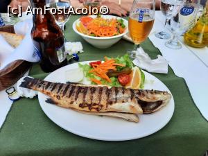 [P09] delicios peste » foto by michaela_1961
 - 
<span class="allrVoted glyphicon glyphicon-heart hidden" id="av1241719"></span>
<a class="m-l-10 hidden" id="sv1241719" onclick="voting_Foto_DelVot(,1241719,24340)" role="button">șterge vot <span class="glyphicon glyphicon-remove"></span></a>
<a id="v91241719" class=" c-red"  onclick="voting_Foto_SetVot(1241719)" role="button"><span class="glyphicon glyphicon-heart-empty"></span> <b>LIKE</b> = Votează poza</a> <img class="hidden"  id="f1241719W9" src="/imagini/loader.gif" border="0" /><span class="AjErrMes hidden" id="e1241719ErM"></span>