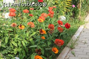 [P13] Florii si verdeata.  » foto by haiduc
 - 
<span class="allrVoted glyphicon glyphicon-heart hidden" id="av1013474"></span>
<a class="m-l-10 hidden" id="sv1013474" onclick="voting_Foto_DelVot(,1013474,24378)" role="button">șterge vot <span class="glyphicon glyphicon-remove"></span></a>
<a id="v91013474" class=" c-red"  onclick="voting_Foto_SetVot(1013474)" role="button"><span class="glyphicon glyphicon-heart-empty"></span> <b>LIKE</b> = Votează poza</a> <img class="hidden"  id="f1013474W9" src="/imagini/loader.gif" border="0" /><span class="AjErrMes hidden" id="e1013474ErM"></span>