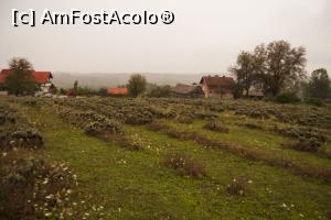 [P02] lavanda era recoltata dar inca se simtea mirosul » foto by Maya_C
 - 
<span class="allrVoted glyphicon glyphicon-heart hidden" id="av1014125"></span>
<a class="m-l-10 hidden" id="sv1014125" onclick="voting_Foto_DelVot(,1014125,24385)" role="button">șterge vot <span class="glyphicon glyphicon-remove"></span></a>
<a id="v91014125" class=" c-red"  onclick="voting_Foto_SetVot(1014125)" role="button"><span class="glyphicon glyphicon-heart-empty"></span> <b>LIKE</b> = Votează poza</a> <img class="hidden"  id="f1014125W9" src="/imagini/loader.gif" border="0" /><span class="AjErrMes hidden" id="e1014125ErM"></span>