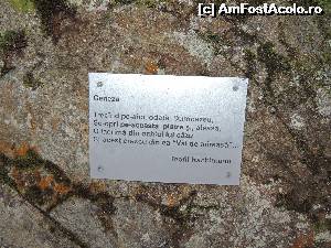 [P13]  -- <small>// FĂRĂ DESCRIERE</small> » foto by claudiu 71
 - 
<span class="allrVoted glyphicon glyphicon-heart hidden" id="av592647"></span>
<a class="m-l-10 hidden" id="sv592647" onclick="voting_Foto_DelVot(,592647,24402)" role="button">șterge vot <span class="glyphicon glyphicon-remove"></span></a>
<a id="v9592647" class=" c-red"  onclick="voting_Foto_SetVot(592647)" role="button"><span class="glyphicon glyphicon-heart-empty"></span> <b>LIKE</b> = Votează poza</a> <img class="hidden"  id="f592647W9" src="/imagini/loader.gif" border="0" /><span class="AjErrMes hidden" id="e592647ErM"></span>