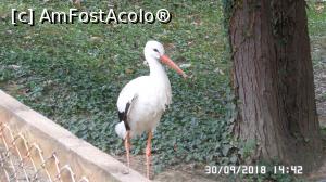 [P39] Grădina zoologică „Ioan Crișan” Reșița.  » foto by ungureanica
 - 
<span class="allrVoted glyphicon glyphicon-heart hidden" id="av1016339"></span>
<a class="m-l-10 hidden" id="sv1016339" onclick="voting_Foto_DelVot(,1016339,24407)" role="button">șterge vot <span class="glyphicon glyphicon-remove"></span></a>
<a id="v91016339" class=" c-red"  onclick="voting_Foto_SetVot(1016339)" role="button"><span class="glyphicon glyphicon-heart-empty"></span> <b>LIKE</b> = Votează poza</a> <img class="hidden"  id="f1016339W9" src="/imagini/loader.gif" border="0" /><span class="AjErrMes hidden" id="e1016339ErM"></span>