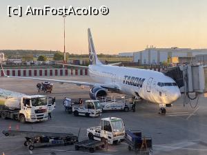 [P08] Cu avionul în Egipt - pe aeroportul Otopeni » foto by nicole33
 - 
<span class="allrVoted glyphicon glyphicon-heart hidden" id="av1232201"></span>
<a class="m-l-10 hidden" id="sv1232201" onclick="voting_Foto_DelVot(,1232201,24446)" role="button">șterge vot <span class="glyphicon glyphicon-remove"></span></a>
<a id="v91232201" class=" c-red"  onclick="voting_Foto_SetVot(1232201)" role="button"><span class="glyphicon glyphicon-heart-empty"></span> <b>LIKE</b> = Votează poza</a> <img class="hidden"  id="f1232201W9" src="/imagini/loader.gif" border="0" /><span class="AjErrMes hidden" id="e1232201ErM"></span>