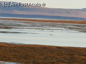 [P45] Laguna Nimez » foto by robert
 - 
<span class="allrVoted glyphicon glyphicon-heart hidden" id="av1022022"></span>
<a class="m-l-10 hidden" id="sv1022022" onclick="voting_Foto_DelVot(,1022022,24479)" role="button">șterge vot <span class="glyphicon glyphicon-remove"></span></a>
<a id="v91022022" class=" c-red"  onclick="voting_Foto_SetVot(1022022)" role="button"><span class="glyphicon glyphicon-heart-empty"></span> <b>LIKE</b> = Votează poza</a> <img class="hidden"  id="f1022022W9" src="/imagini/loader.gif" border="0" /><span class="AjErrMes hidden" id="e1022022ErM"></span>