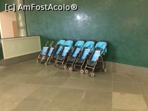 [P02] Therme Erding - Pentru parintii cu copii ceva mai mici » foto by mishu
 - 
<span class="allrVoted glyphicon glyphicon-heart hidden" id="av1023001"></span>
<a class="m-l-10 hidden" id="sv1023001" onclick="voting_Foto_DelVot(,1023001,24492)" role="button">șterge vot <span class="glyphicon glyphicon-remove"></span></a>
<a id="v91023001" class=" c-red"  onclick="voting_Foto_SetVot(1023001)" role="button"><span class="glyphicon glyphicon-heart-empty"></span> <b>LIKE</b> = Votează poza</a> <img class="hidden"  id="f1023001W9" src="/imagini/loader.gif" border="0" /><span class="AjErrMes hidden" id="e1023001ErM"></span>