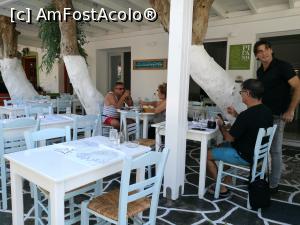 [P12] Rigani, Naoussa - terasa cu copaci, Tati compilând și ospătarul nostru » foto by crismis
 - 
<span class="allrVoted glyphicon glyphicon-heart hidden" id="av1024489"></span>
<a class="m-l-10 hidden" id="sv1024489" onclick="voting_Foto_DelVot(,1024489,24514)" role="button">șterge vot <span class="glyphicon glyphicon-remove"></span></a>
<a id="v91024489" class=" c-red"  onclick="voting_Foto_SetVot(1024489)" role="button"><span class="glyphicon glyphicon-heart-empty"></span> <b>LIKE</b> = Votează poza</a> <img class="hidden"  id="f1024489W9" src="/imagini/loader.gif" border="0" /><span class="AjErrMes hidden" id="e1024489ErM"></span>