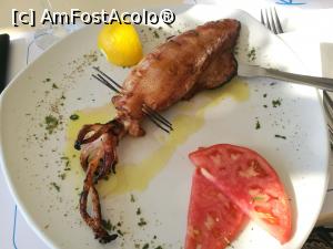 [P04] Calamar umplut cu fructe de mare; n-ai zice că-i o delicatesă, după cum arată » foto by crismis
 - 
<span class="allrVoted glyphicon glyphicon-heart hidden" id="av1024477"></span>
<a class="m-l-10 hidden" id="sv1024477" onclick="voting_Foto_DelVot(,1024477,24514)" role="button">șterge vot <span class="glyphicon glyphicon-remove"></span></a>
<a id="v91024477" class=" c-red"  onclick="voting_Foto_SetVot(1024477)" role="button"><span class="glyphicon glyphicon-heart-empty"></span> <b>LIKE</b> = Votează poza</a> <img class="hidden"  id="f1024477W9" src="/imagini/loader.gif" border="0" /><span class="AjErrMes hidden" id="e1024477ErM"></span>
