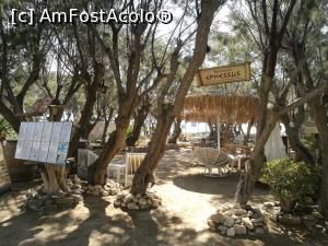 [P48] Taverna Ephessus, Parikia » foto by crismis
 - 
<span class="allrVoted glyphicon glyphicon-heart hidden" id="av1024554"></span>
<a class="m-l-10 hidden" id="sv1024554" onclick="voting_Foto_DelVot(,1024554,24514)" role="button">șterge vot <span class="glyphicon glyphicon-remove"></span></a>
<a id="v91024554" class=" c-red"  onclick="voting_Foto_SetVot(1024554)" role="button"><span class="glyphicon glyphicon-heart-empty"></span> <b>LIKE</b> = Votează poza</a> <img class="hidden"  id="f1024554W9" src="/imagini/loader.gif" border="0" /><span class="AjErrMes hidden" id="e1024554ErM"></span>