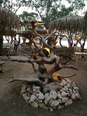 [P49] Taverna Ephessus, Parikia » foto by crismis
 - 
<span class="allrVoted glyphicon glyphicon-heart hidden" id="av1024555"></span>
<a class="m-l-10 hidden" id="sv1024555" onclick="voting_Foto_DelVot(,1024555,24514)" role="button">șterge vot <span class="glyphicon glyphicon-remove"></span></a>
<a id="v91024555" class=" c-red"  onclick="voting_Foto_SetVot(1024555)" role="button"><span class="glyphicon glyphicon-heart-empty"></span> <b>LIKE</b> = Votează poza</a> <img class="hidden"  id="f1024555W9" src="/imagini/loader.gif" border="0" /><span class="AjErrMes hidden" id="e1024555ErM"></span>