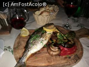 [P52] Taverna Ephessus, Parikia - doradă la grătar cu legume și vin roze » foto by crismis
 - 
<span class="allrVoted glyphicon glyphicon-heart hidden" id="av1024561"></span>
<a class="m-l-10 hidden" id="sv1024561" onclick="voting_Foto_DelVot(,1024561,24514)" role="button">șterge vot <span class="glyphicon glyphicon-remove"></span></a>
<a id="v91024561" class=" c-red"  onclick="voting_Foto_SetVot(1024561)" role="button"><span class="glyphicon glyphicon-heart-empty"></span> <b>LIKE</b> = Votează poza</a> <img class="hidden"  id="f1024561W9" src="/imagini/loader.gif" border="0" /><span class="AjErrMes hidden" id="e1024561ErM"></span>