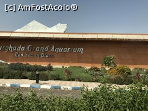 [P01] Hurghada Grand Aquarium - vedere din parcare » foto by nicole33
 - 
<span class="allrVoted glyphicon glyphicon-heart hidden" id="av1025319"></span>
<a class="m-l-10 hidden" id="sv1025319" onclick="voting_Foto_DelVot(,1025319,24519)" role="button">șterge vot <span class="glyphicon glyphicon-remove"></span></a>
<a id="v91025319" class=" c-red"  onclick="voting_Foto_SetVot(1025319)" role="button"><span class="glyphicon glyphicon-heart-empty"></span> <b>LIKE</b> = Votează poza</a> <img class="hidden"  id="f1025319W9" src="/imagini/loader.gif" border="0" /><span class="AjErrMes hidden" id="e1025319ErM"></span>