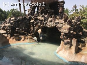[P12] Hurghada Grand Aquarium - păsări flamingo » foto by nicole33
 - 
<span class="allrVoted glyphicon glyphicon-heart hidden" id="av1025330"></span>
<a class="m-l-10 hidden" id="sv1025330" onclick="voting_Foto_DelVot(,1025330,24519)" role="button">șterge vot <span class="glyphicon glyphicon-remove"></span></a>
<a id="v91025330" class=" c-red"  onclick="voting_Foto_SetVot(1025330)" role="button"><span class="glyphicon glyphicon-heart-empty"></span> <b>LIKE</b> = Votează poza</a> <img class="hidden"  id="f1025330W9" src="/imagini/loader.gif" border="0" /><span class="AjErrMes hidden" id="e1025330ErM"></span>