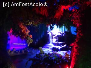 [P03] Hurghada Grand Aquarium - pădurea tropicală » foto by nicole33
 - 
<span class="allrVoted glyphicon glyphicon-heart hidden" id="av1025321"></span>
<a class="m-l-10 hidden" id="sv1025321" onclick="voting_Foto_DelVot(,1025321,24519)" role="button">șterge vot <span class="glyphicon glyphicon-remove"></span></a>
<a id="v91025321" class=" c-red"  onclick="voting_Foto_SetVot(1025321)" role="button"><span class="glyphicon glyphicon-heart-empty"></span> <b>LIKE</b> = Votează poza</a> <img class="hidden"  id="f1025321W9" src="/imagini/loader.gif" border="0" /><span class="AjErrMes hidden" id="e1025321ErM"></span>