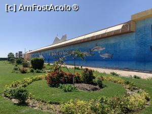 [P01] Hurghada Grand Aquarium,fațada complexului » foto by AZE
 - 
<span class="allrVoted glyphicon glyphicon-heart hidden" id="av1417354"></span>
<a class="m-l-10 hidden" id="sv1417354" onclick="voting_Foto_DelVot(,1417354,24519)" role="button">șterge vot <span class="glyphicon glyphicon-remove"></span></a>
<a id="v91417354" class=" c-red"  onclick="voting_Foto_SetVot(1417354)" role="button"><span class="glyphicon glyphicon-heart-empty"></span> <b>LIKE</b> = Votează poza</a> <img class="hidden"  id="f1417354W9" src="/imagini/loader.gif" border="0" /><span class="AjErrMes hidden" id="e1417354ErM"></span>