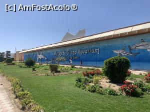[P02] Hurghada Grand Aquarium,fațada complexului » foto by AZE
 - 
<span class="allrVoted glyphicon glyphicon-heart hidden" id="av1417355"></span>
<a class="m-l-10 hidden" id="sv1417355" onclick="voting_Foto_DelVot(,1417355,24519)" role="button">șterge vot <span class="glyphicon glyphicon-remove"></span></a>
<a id="v91417355" class=" c-red"  onclick="voting_Foto_SetVot(1417355)" role="button"><span class="glyphicon glyphicon-heart-empty"></span> <b>LIKE</b> = Votează poza</a> <img class="hidden"  id="f1417355W9" src="/imagini/loader.gif" border="0" /><span class="AjErrMes hidden" id="e1417355ErM"></span>