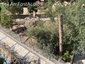 [P22] Observând de sus » foto by AZE
 - 
<span class="allrVoted glyphicon glyphicon-heart hidden" id="av1417375"></span>
<a class="m-l-10 hidden" id="sv1417375" onclick="voting_Foto_DelVot(,1417375,24519)" role="button">șterge vot <span class="glyphicon glyphicon-remove"></span></a>
<a id="v91417375" class=" c-red"  onclick="voting_Foto_SetVot(1417375)" role="button"><span class="glyphicon glyphicon-heart-empty"></span> <b>LIKE</b> = Votează poza</a> <img class="hidden"  id="f1417375W9" src="/imagini/loader.gif" border="0" /><span class="AjErrMes hidden" id="e1417375ErM"></span>