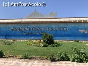 [P03] Hurghada Grand Aquarium,fațada complexului » foto by AZE
 - 
<span class="allrVoted glyphicon glyphicon-heart hidden" id="av1417356"></span>
<a class="m-l-10 hidden" id="sv1417356" onclick="voting_Foto_DelVot(,1417356,24519)" role="button">șterge vot <span class="glyphicon glyphicon-remove"></span></a>
<a id="v91417356" class=" c-red"  onclick="voting_Foto_SetVot(1417356)" role="button"><span class="glyphicon glyphicon-heart-empty"></span> <b>LIKE</b> = Votează poza</a> <img class="hidden"  id="f1417356W9" src="/imagini/loader.gif" border="0" /><span class="AjErrMes hidden" id="e1417356ErM"></span>
